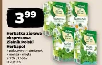 Herbatka ziołowa ekspresowa Zielnik Polski Herbapol pokrzywa rumianek melisa mięta