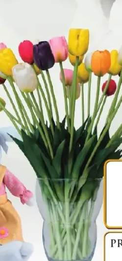 Tulipan gumowy różne kolory