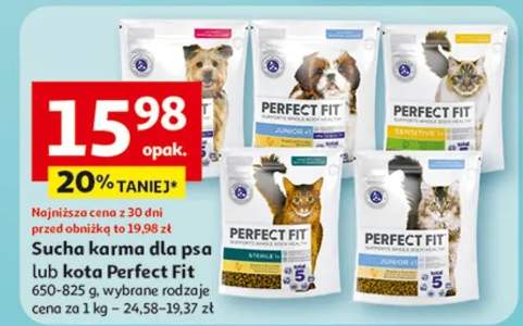 Sucha karma dla psa lub kota