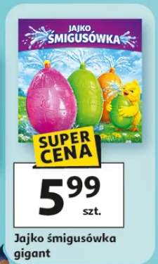 Jajko śmigusówka gigant