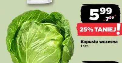 Kapusta wczesna