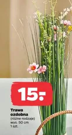 trawa ozdobna