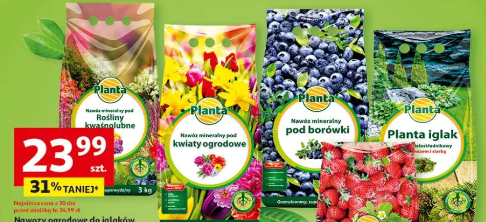 Nawóz mineralny pod borówki