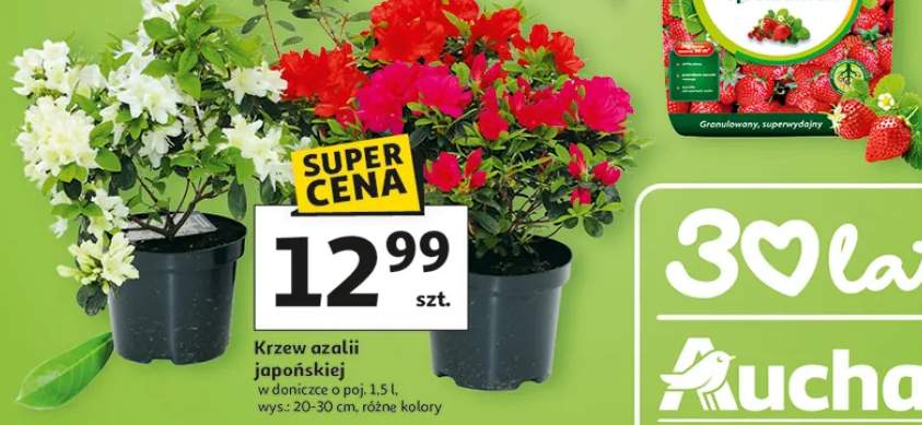 Nawóz mineralny pod kwiaty ogrodowe