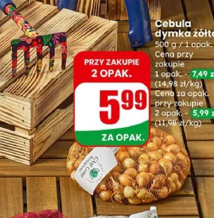 Cebula dymka żółta
