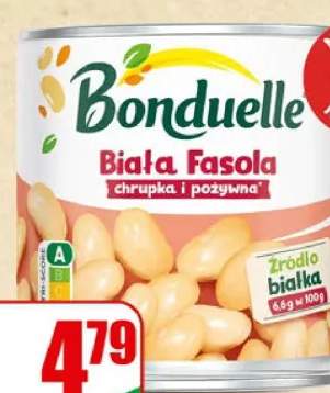 Fasola biała