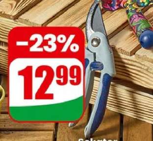 Sekator ogrodowy extra