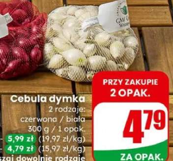 Cebula dymka 2 rodzaje: czerwona / biała