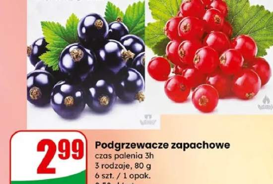 Podgrzewacze zapachowe czarna porzeczka