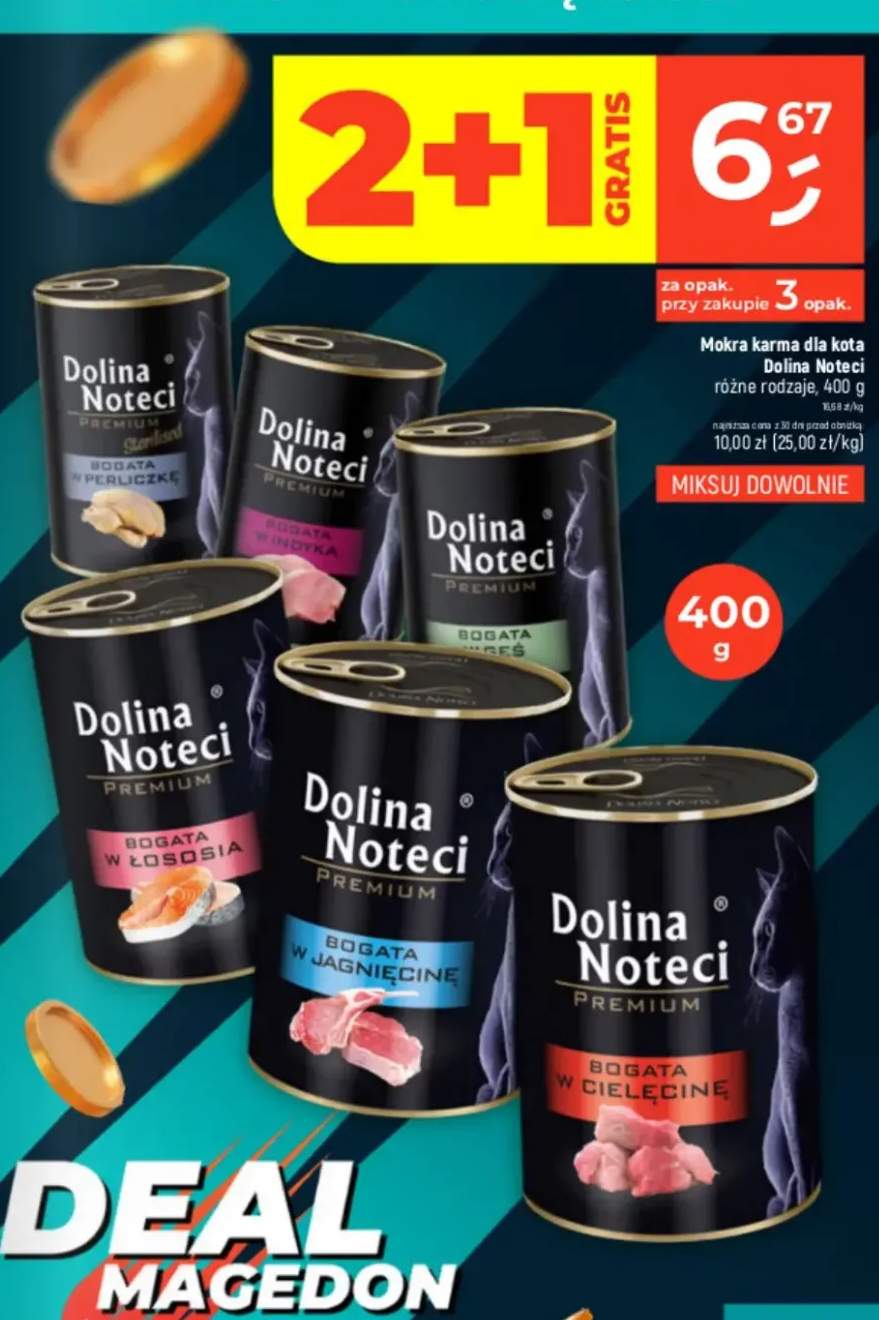 Mokra karma dla kota bogata w łososia