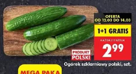 Ogórek szklarniowy polski