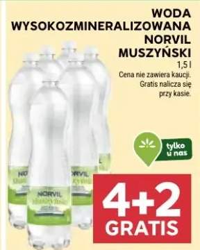 Woda wysokozmineralizowana muszyński norvil