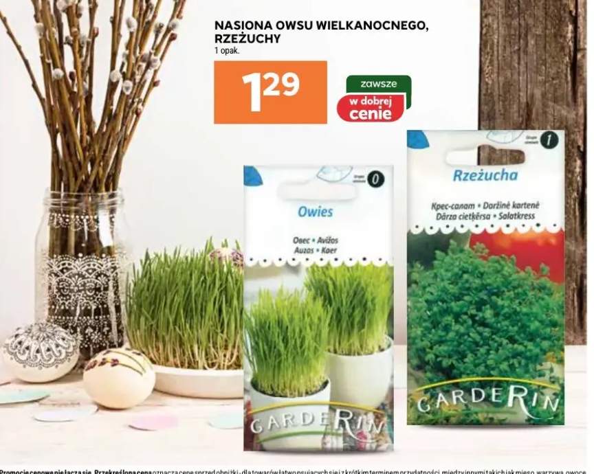 Nasiona owsu wielkanocnego, rzeżuchy