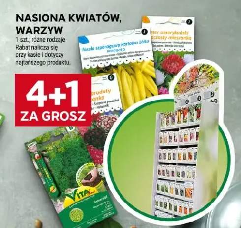 Nasiona kwiatów, warzyw