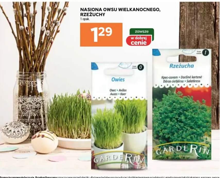 Nasiona owsu wielkanocnego, rzeżuchy