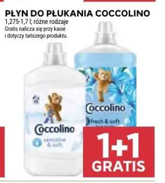Płyn do płukania Coccolino różne rodzaje