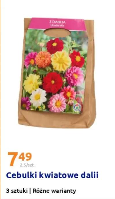 Składany kosz do przechowywania