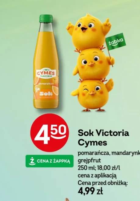 Owsianka malinowa, truskawkowa