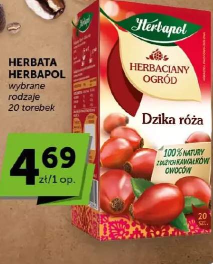 Herbata Herbaciany Ogród dzika róża