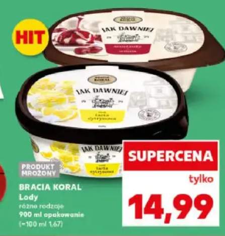 Lody różne rodzaje