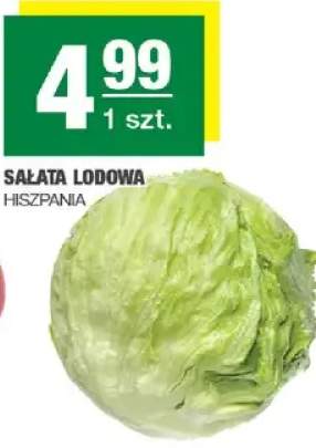 Sałata lodowa