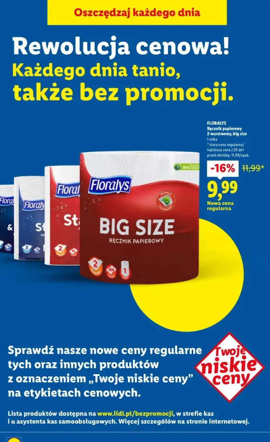 Ręcznik papierowy 2-warstwowy, big size