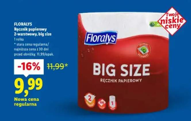 Ręcznik papierowy 2-warstwowy Big Size