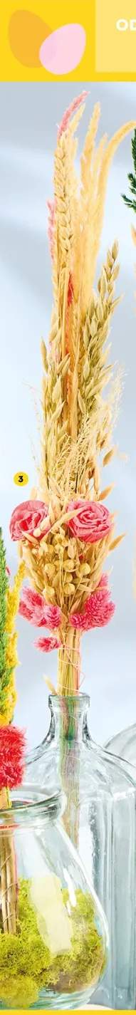 Palma wielkanocna o wys. 50 cm