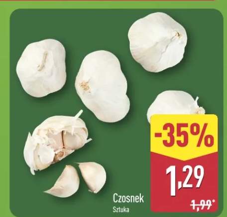 Czosnek
