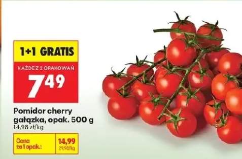 Pomidor cherry gałązka