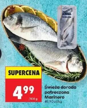 Dorada świeża patrószona