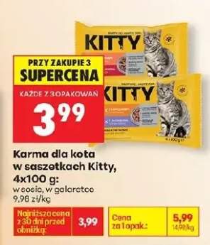 Karma dla kota w saszetkach w sosie, w galaretce