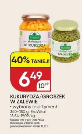 Groszek w zalewie
