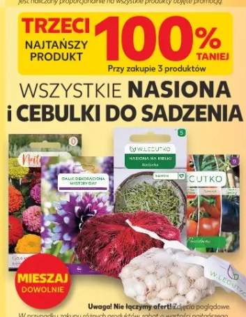 Nasiona i cebulki do sadzenia