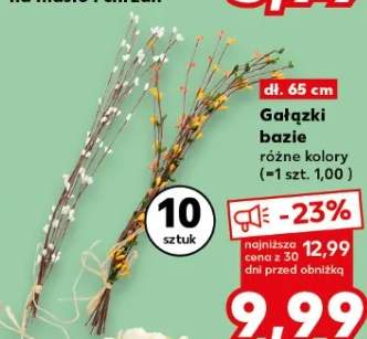 Gałązki bazie różne kolory