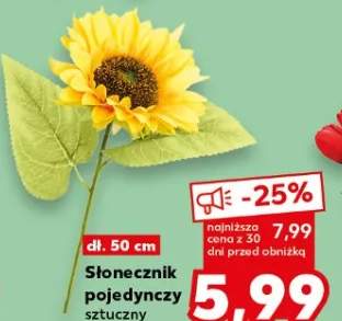 Słonecznik pojedynczy sztuczny