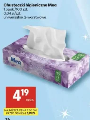 Chusteczki higieniczne 1 opak./100 szt. uniwersalne 2-warstwowe