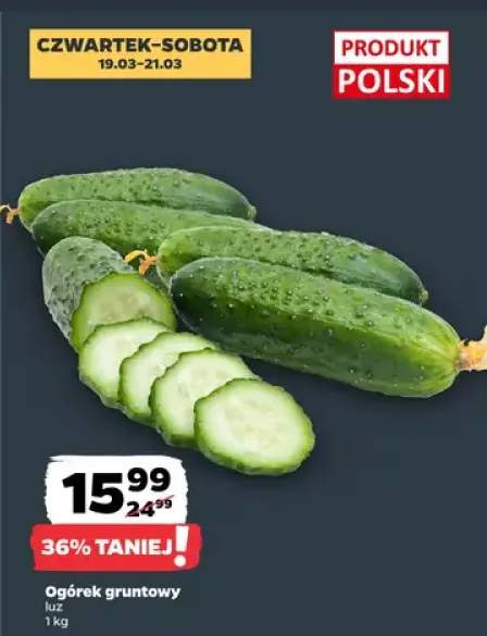 Ogórek gruntowy luz