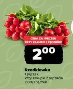 Rzodkiewka