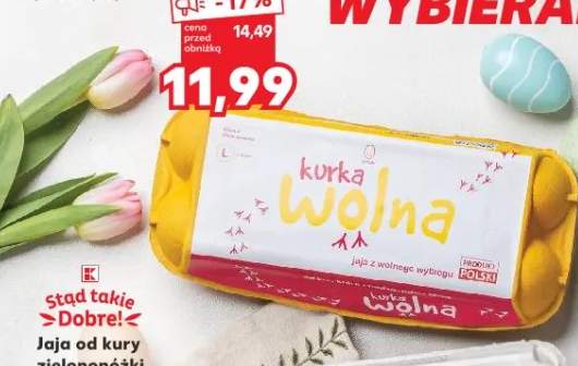 Jaja kurze wolna klasa L