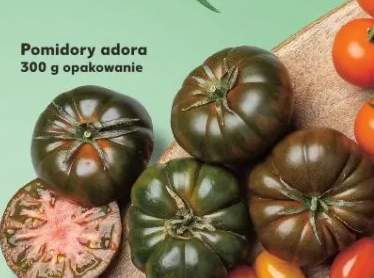 Pomidory adora