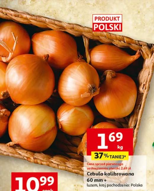 Cebula kalibrowana 60 mm +