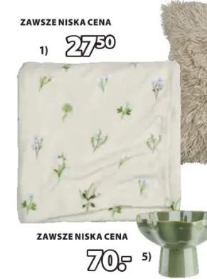 Koc z polaru Engsolei