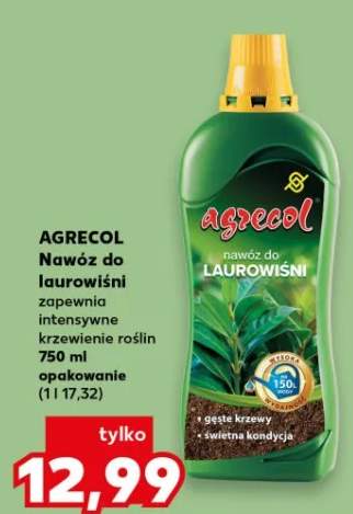 Nawóz do laurowiśni zapewnia intensywne krzewienie roślin