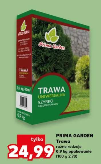 Trawa różne rodzaje