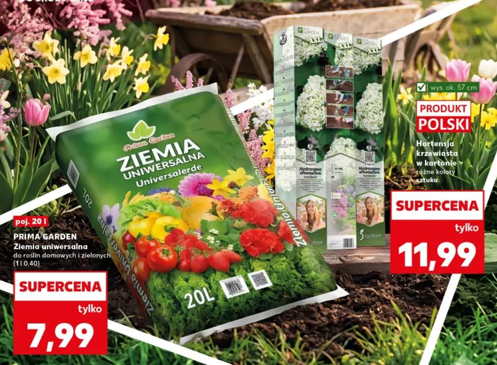 Ziemia uniwersalna do roślin domowych i zielonych