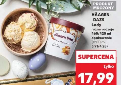 Lody różne rodzaje