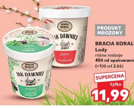 Lody różne rodzaje