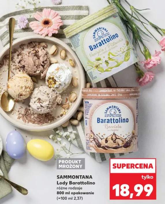 Lody Barattolino różne rodzaje