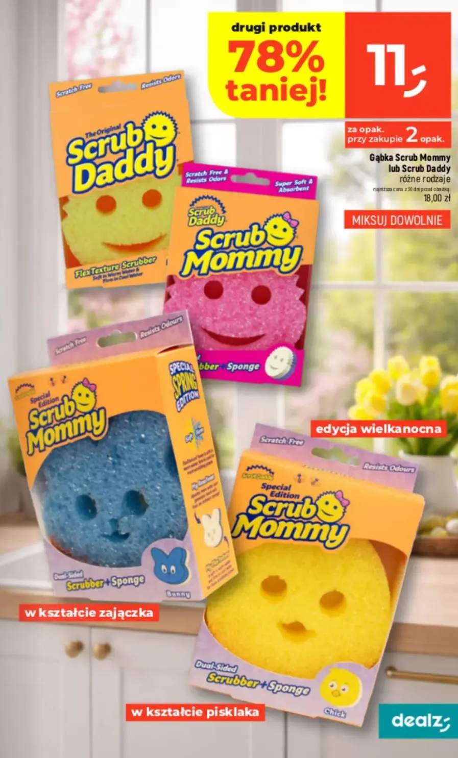 Gąbka różne rodzaje